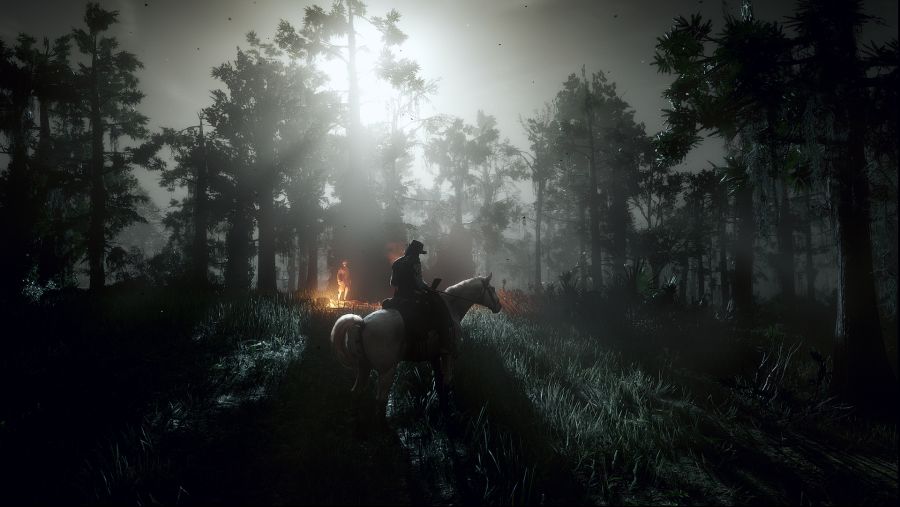 Red Dead Redemption 2 Screenshot 2020.07.19 - 15.32.07.72.png