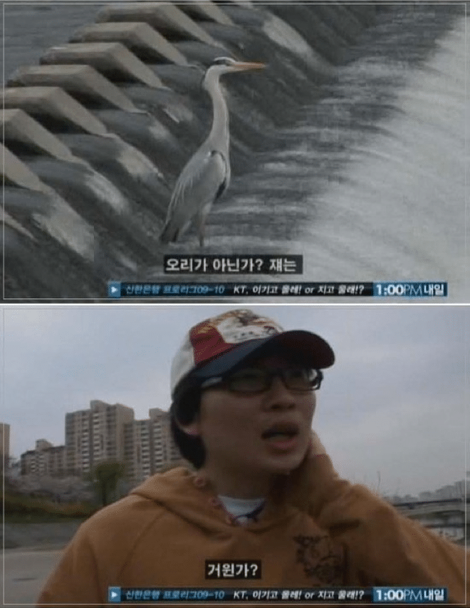 오리 밈 세대차.capture_2.png