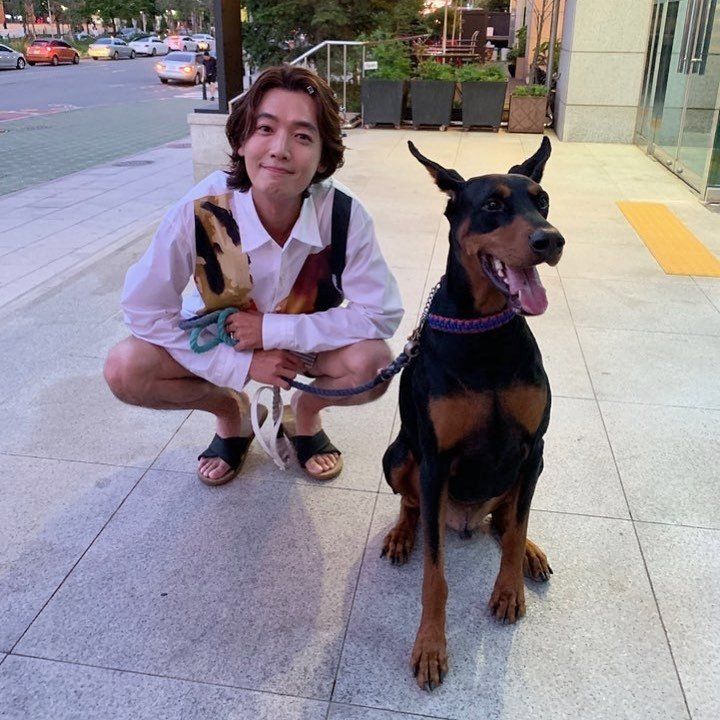 같은 견종. 다른 분위기._1.jpeg