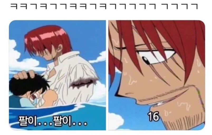 원피스 루피 그치만 샤샹크스 나때문에 팔이