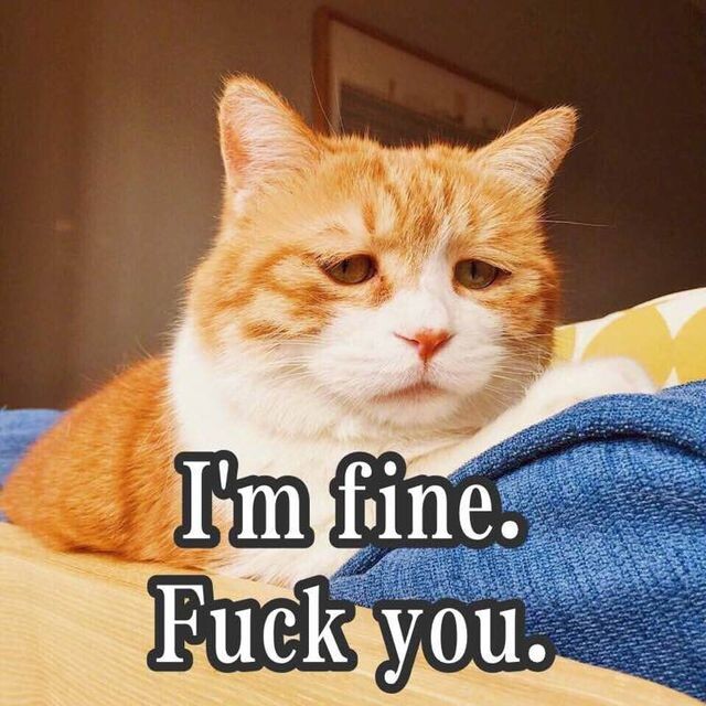 헤드셋 사고싶은데 요즘 세일하는게 없네_1.jpg