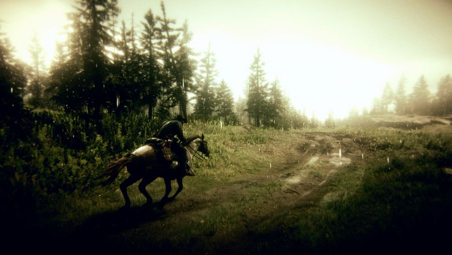 Red Dead Redemption 2 Screenshot 2020.07.25 - 16.14.23.78.png