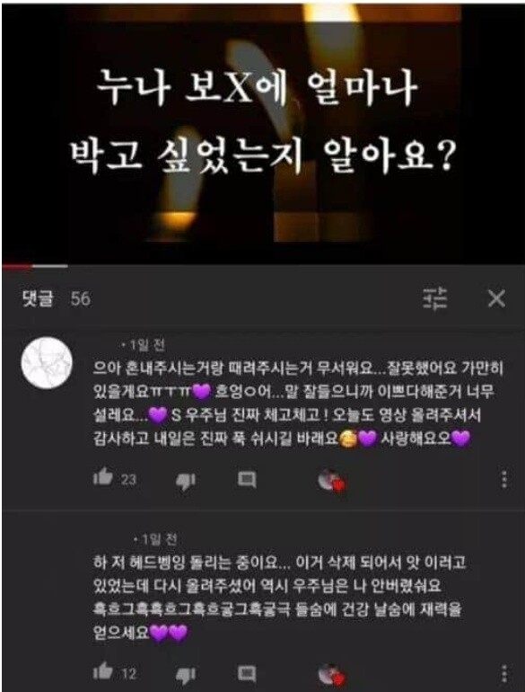 19) 여성향 asmr에 달린 댓글.jpg_5.jpg