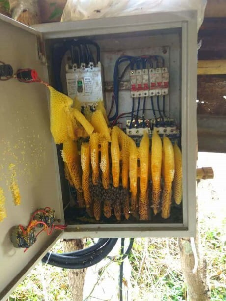 오늘 꿀작업이라고 듣고 왔는데.....?????_1.jpg