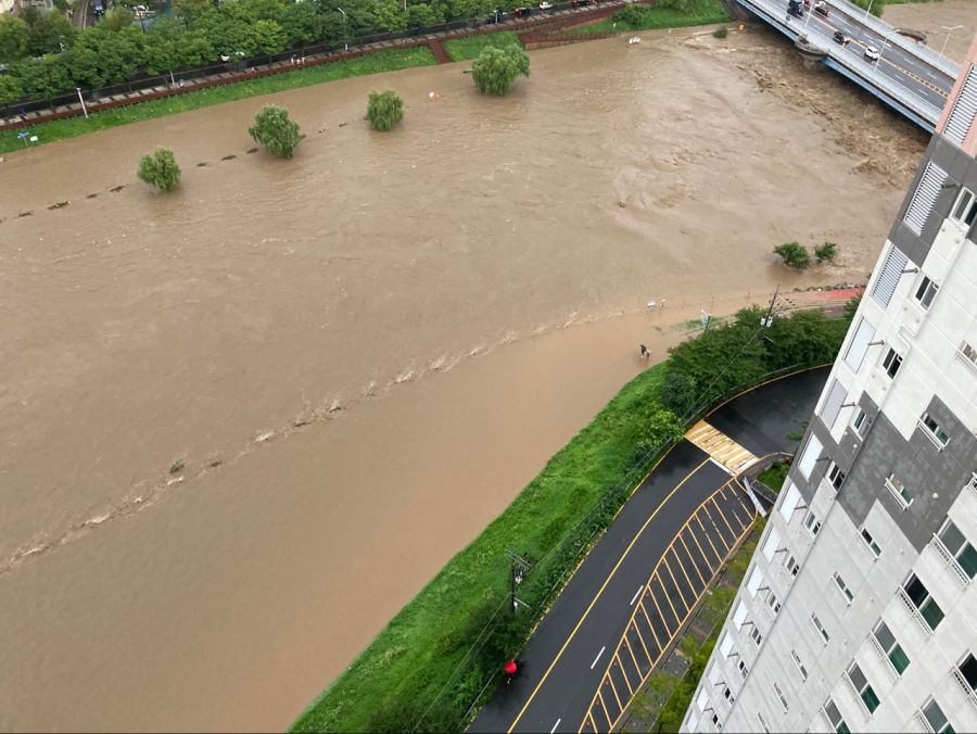 대전 폭우 근황 jpg_1.jpg