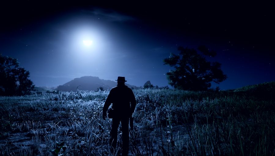 Red Dead Redemption 2 Screenshot 2020.07.30 - 03.21.53.10.png