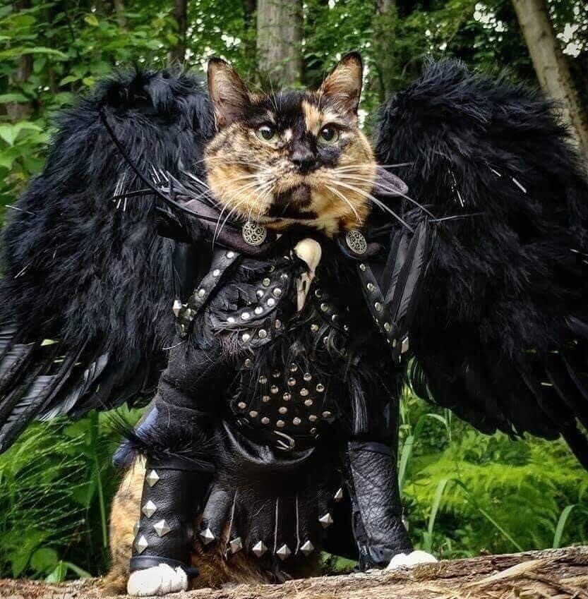 타락천사로 변해버린 원앙시해자_1.jpeg