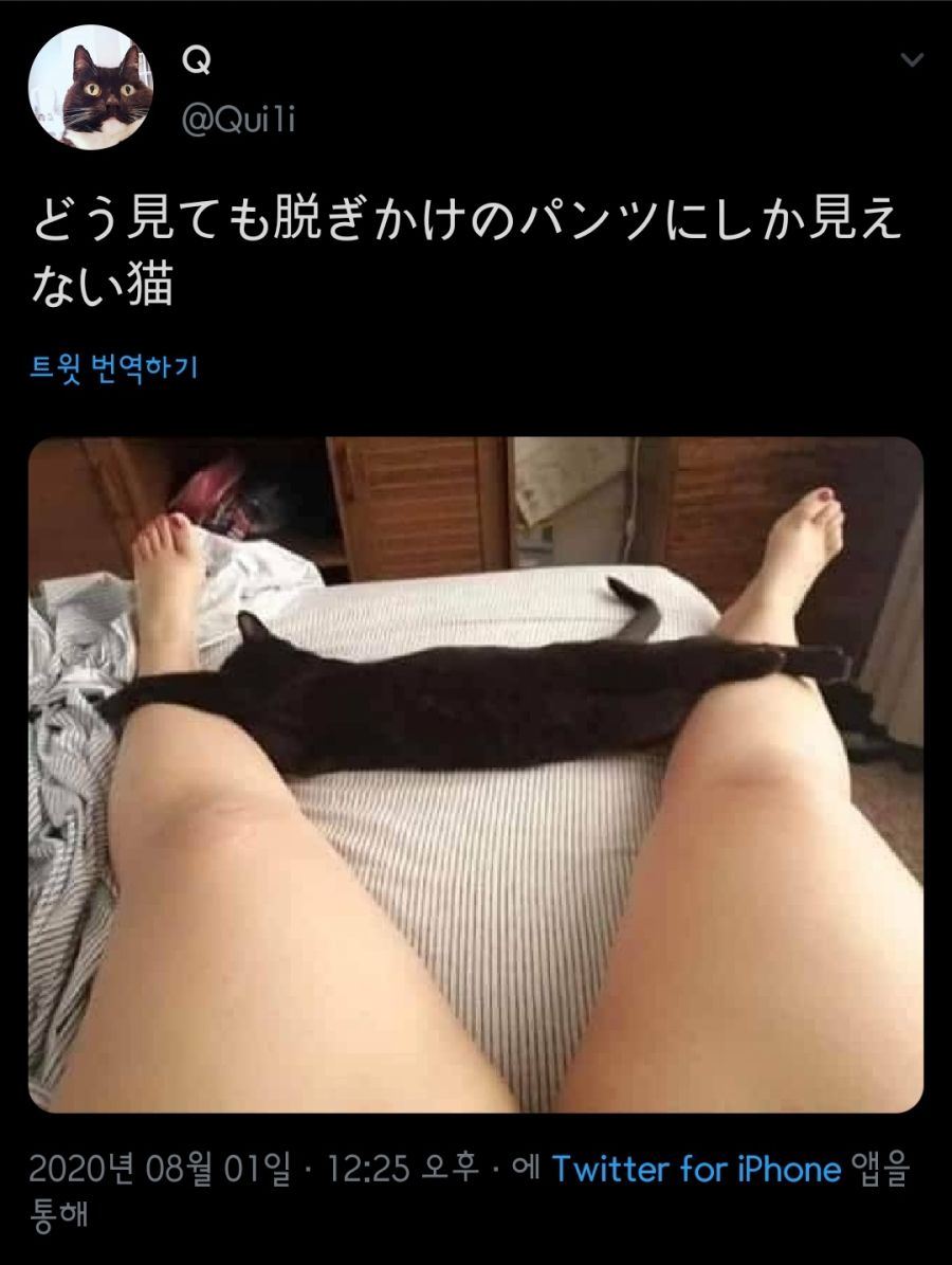 다리에 걸친 팬티.jpg_1.jpg