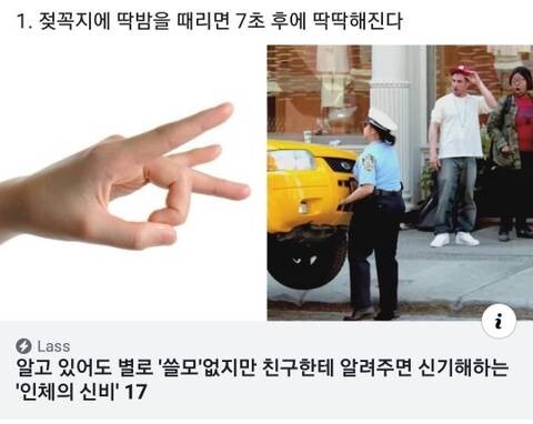 인체의 신비_1.jpg