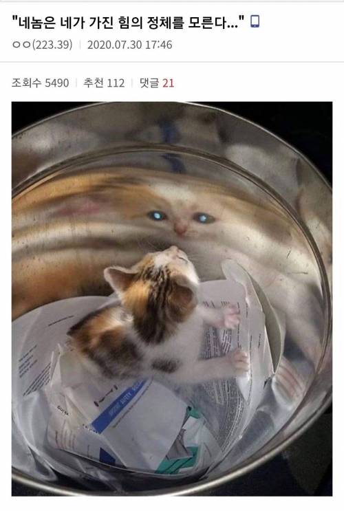 이제 그만 시해자의 힘을 받아들여라...jpg_1.jpg