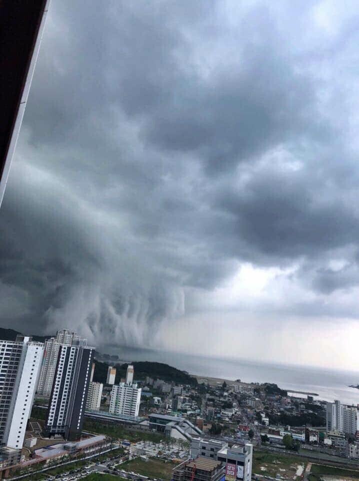 부산에 게이트 열렸었어요?_1.jpeg