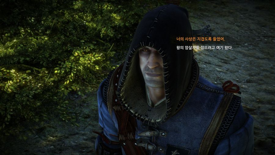 The Witcher 2 2020-08-03 오후 9_48_53.png