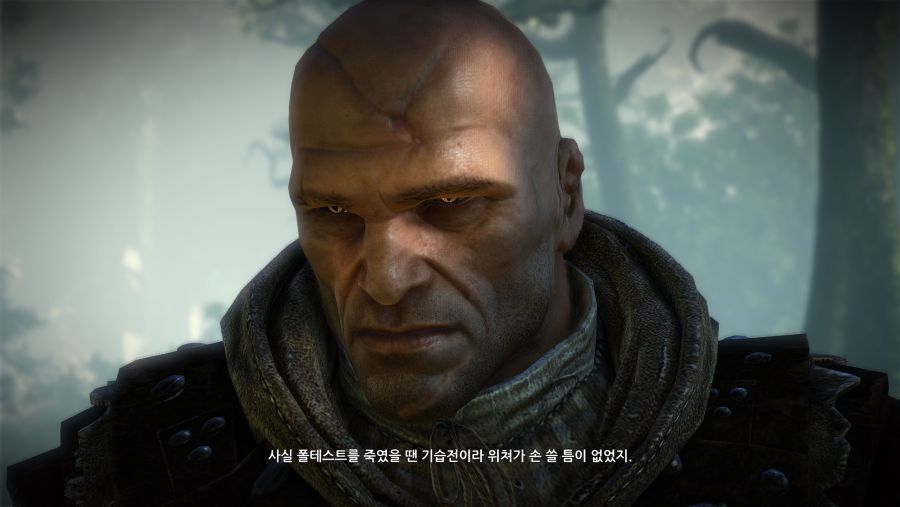 The Witcher 2 2020-08-03 오후 9_57_16.png