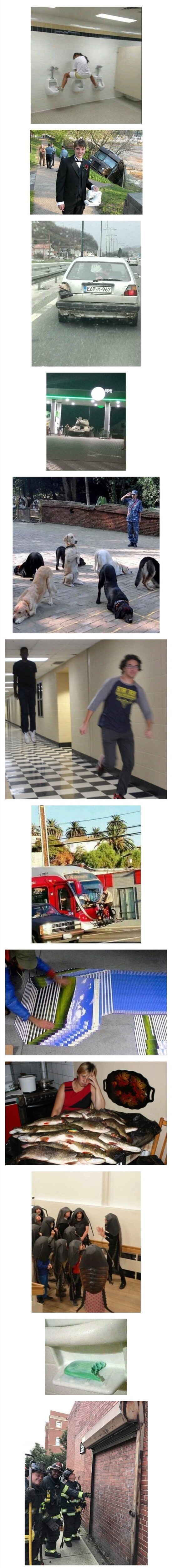 왜 존재하는지 모르겠는 짤 모음_1.jpg