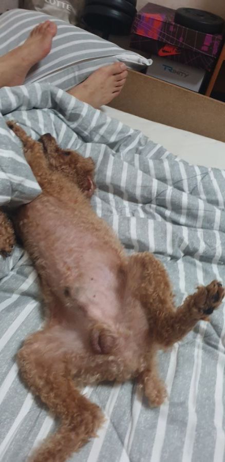 후방)와따시 탄생 기념일로 짤뿌린다._1.jpg