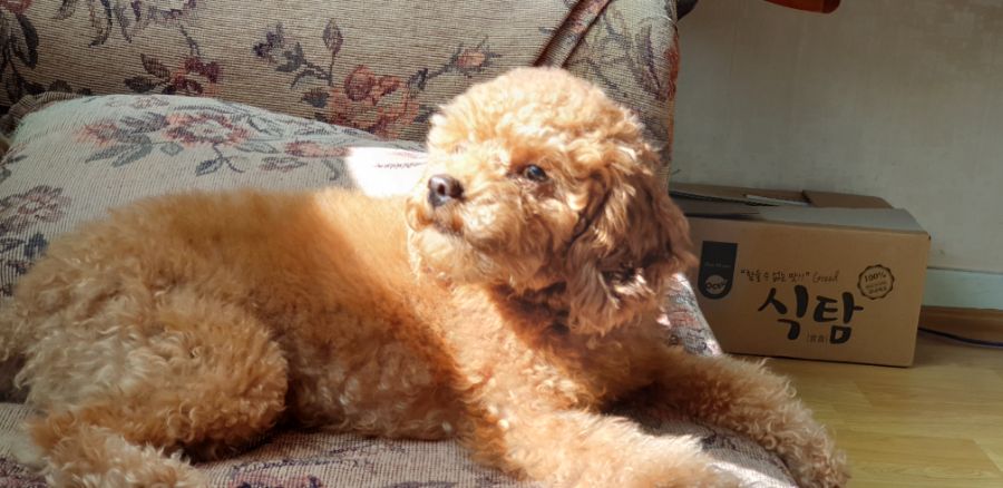 후방)와따시 탄생 기념일로 짤뿌린다._6.jpg