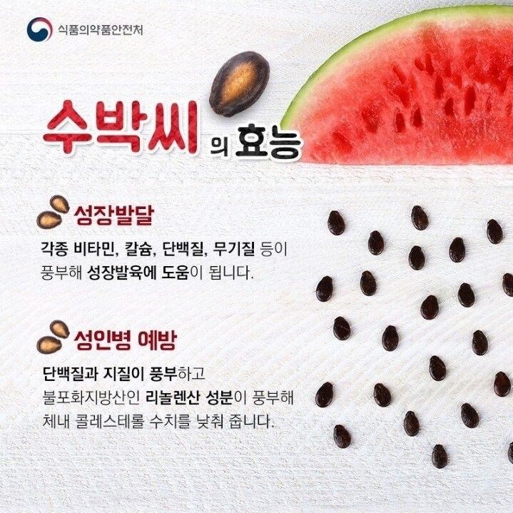 사람들이 잘 모르는 수박씨의 비밀_1.png