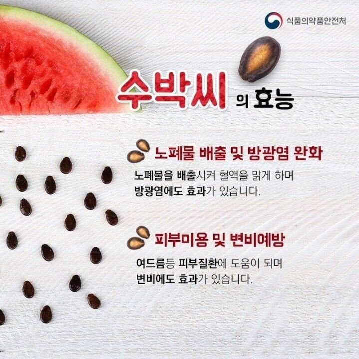 사람들이 잘 모르는 수박씨의 비밀_2.png