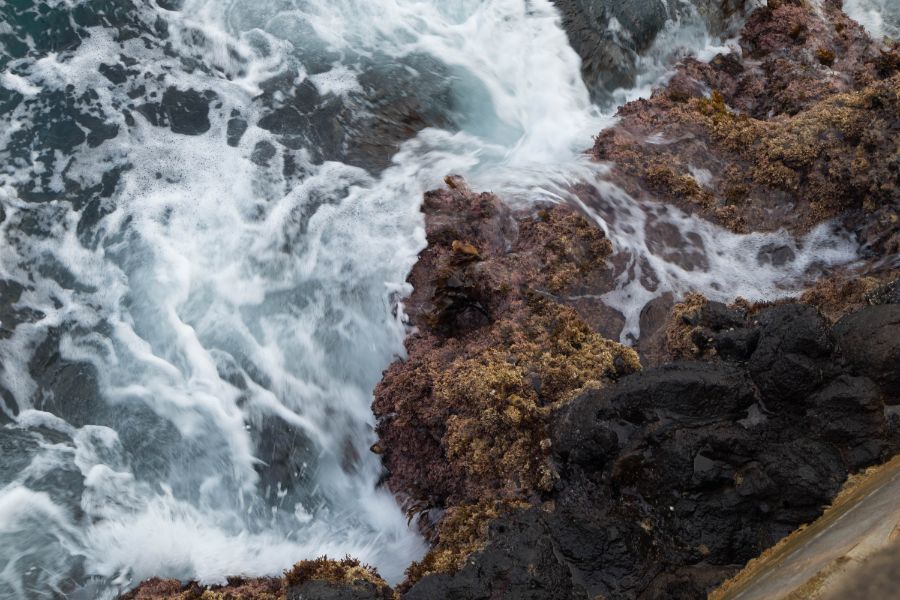 새들의 고향, 우리 땅 - 3박 4일 울릉도 여행기 (1일 차)_35.jpg