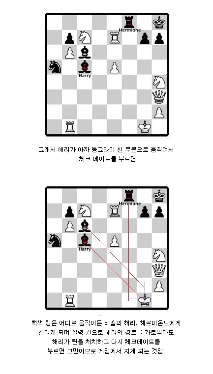 해리포터 마법사의 돌 영화에서 론이 설계한 체스 전술_8.png