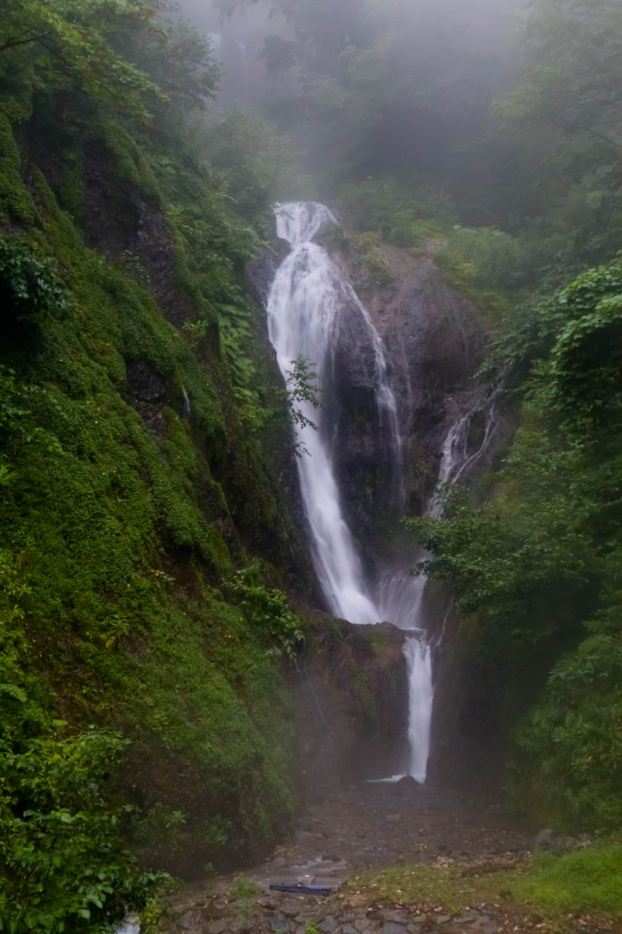 갇혔어요! 풍랑의 섬 - 3박 4일 울릉도 여행기 (3, 4일 차)_11.jpg