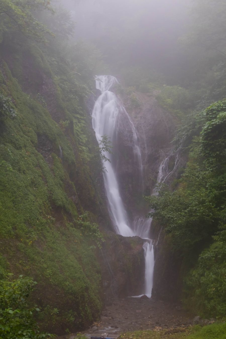 갇혔어요! 풍랑의 섬 - 3박 4일 울릉도 여행기 (3, 4일 차)_12.jpg