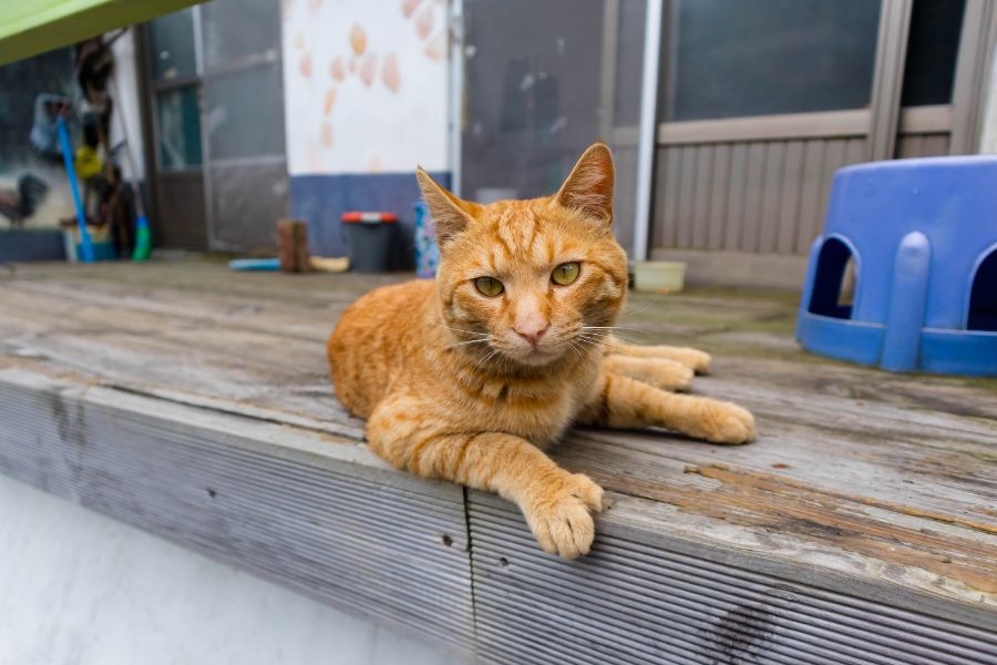 갇혔어요! 풍랑의 섬 - 3박 4일 울릉도 여행기 (3, 4일 차)_77.jpg