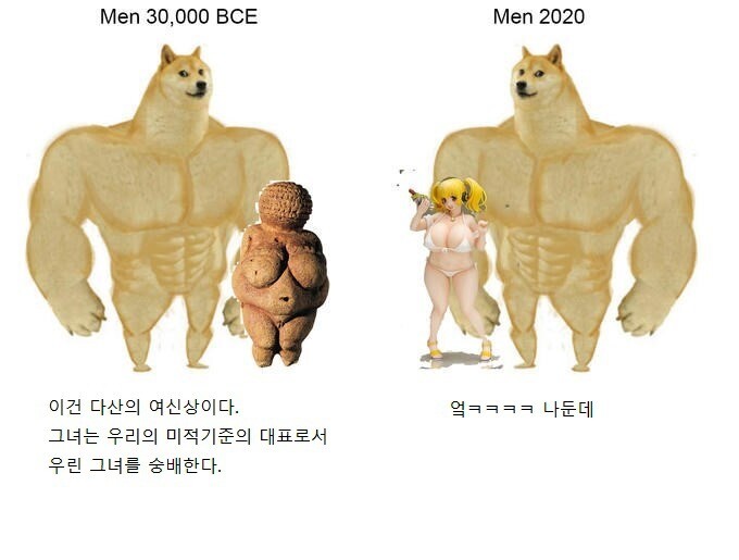 시대에 따라 변화하는 강아지 밈 근황.jpg_6.jpg