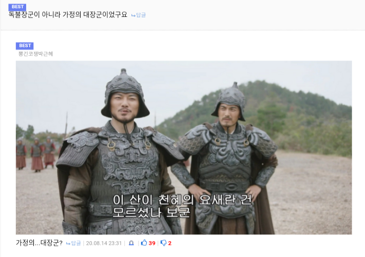 가정의 대장군