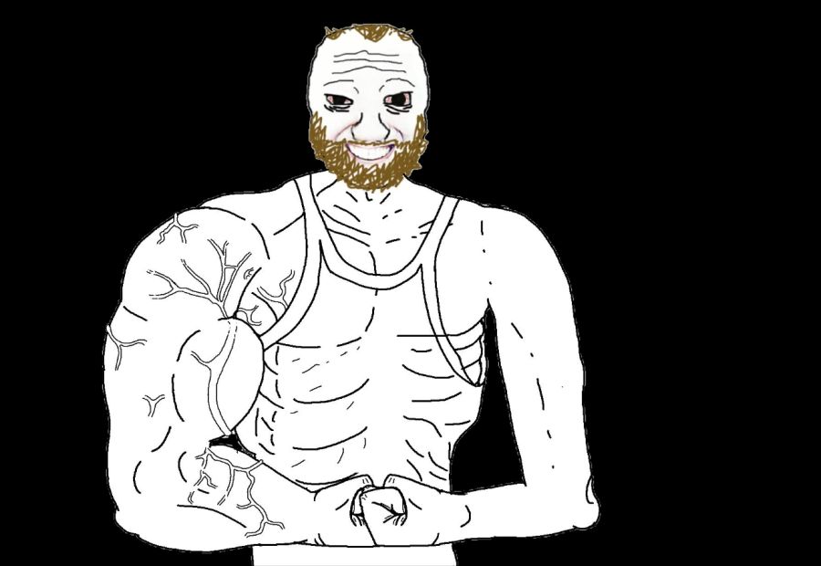 서양에서 쓰는 밈 짤방 몇가지를 알아보자_4.png