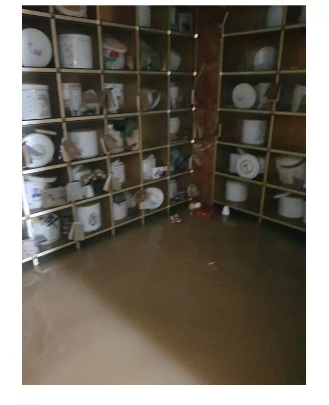 현재 농심에 제보된 트윗.jpg_1.jpeg