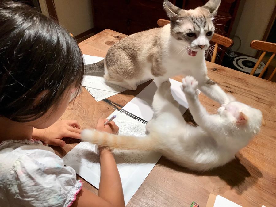 아까 유시민 어쩌구 하던놈 글삭?_1.jpeg