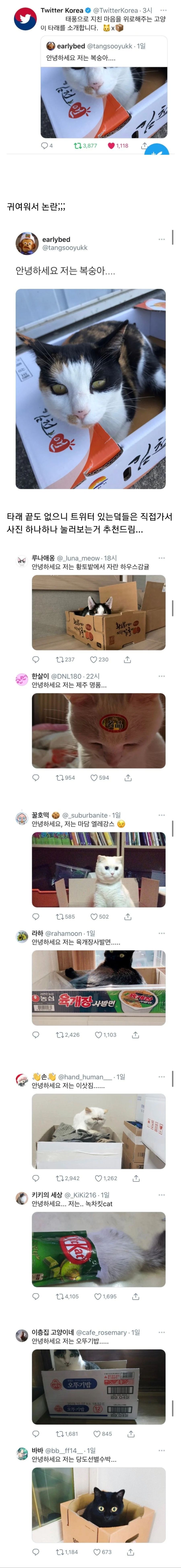 트위터 코리아 공식계정이 직접 박제해 논란된 타래;;;_1.jpg