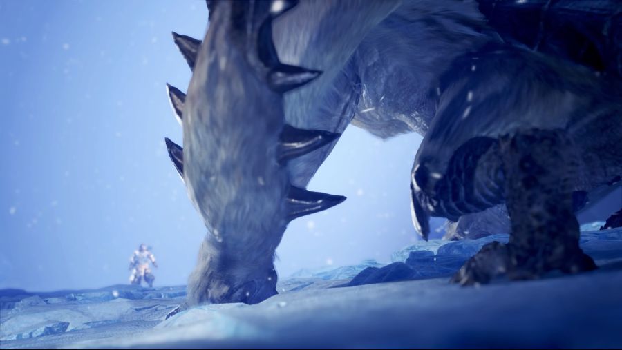 Monster Hunter World_ Iceborne_20200829214655.jpg