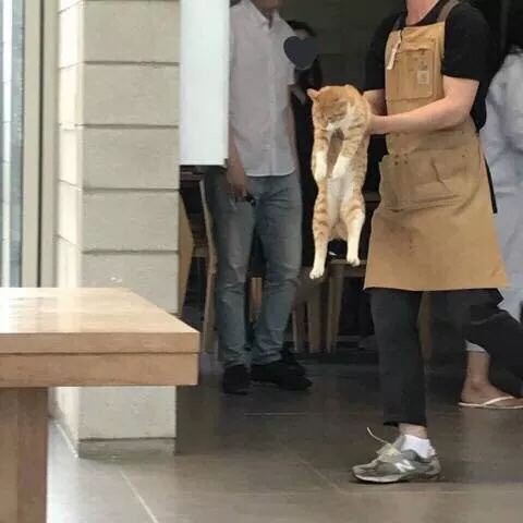 창문 개방 금지.jpg_2.jpeg