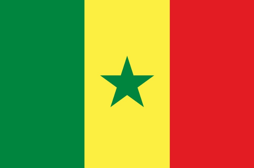 세네갈-국기-지식백과.png