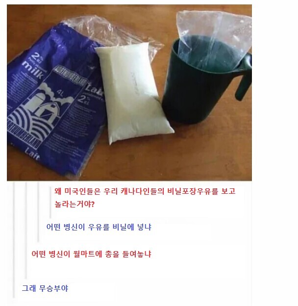 미국인과 캐나다인의 싸움_1.jpg