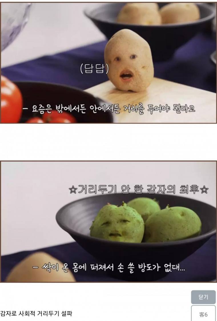 강원도 공식 유튜브 근황_1.jpg