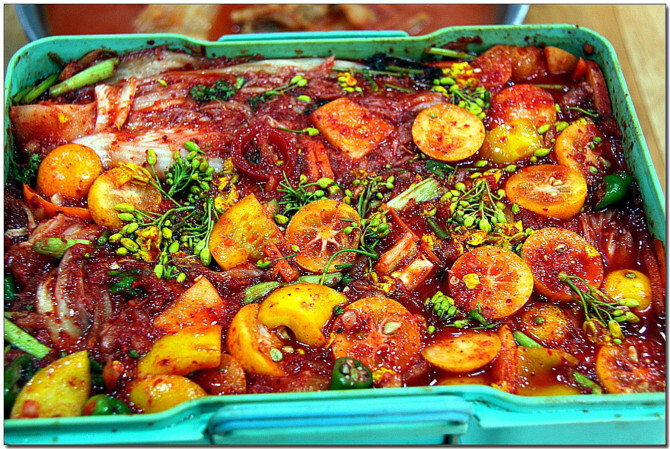 제주도 귤김치 .. 실존여부.jpg_7.jpg