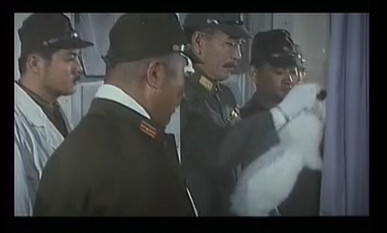 약혐) 영화 마루타 고양이 장면의 진실_4.png