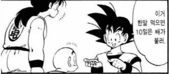 드래곤볼 선두의 또 다른 의미.jpg_1.jpg