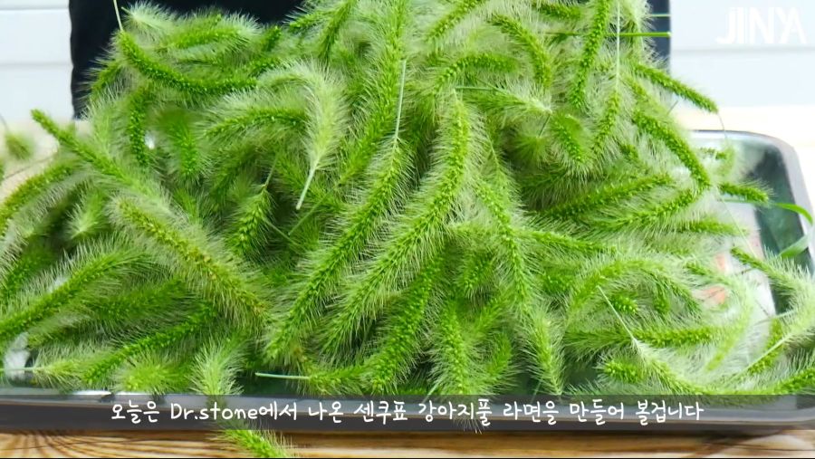 석기시대 레시피 2탄 강아지풀 라면 만들기 by_jinya(재미로만 봐주세요)_3.jpg