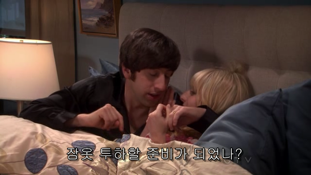 The.Big.Bang.Theory.S06E05.HDTV.XviD-AFG.avi_000671352.png