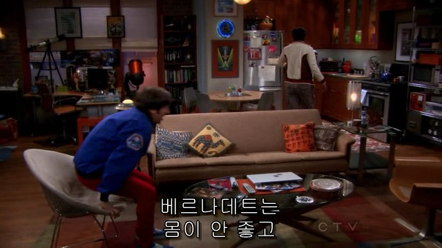 The.Big.Bang.Theory.S06E04.HDTV.XviD-AFG.avi_000963901.png