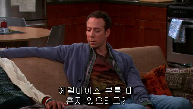 The.Big.Bang.Theory.S06E04.HDTV.XviD-AFG.avi_001072623.png