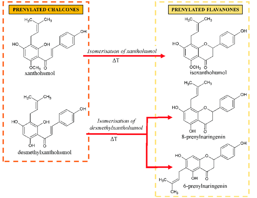 Prenylated-flavonoids-from-hops-Prenylated-flavonoids-from-hops.png