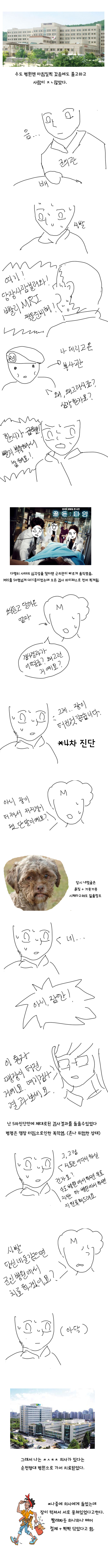 군대에서 맹장터진 만화4.jpg