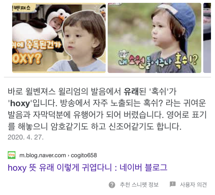 Hoxy 유래 왜곡하는 블로거지들 | (백업)유머 게시판(2020-2021) Hoxy 유래 왜곡하는 블로거지들 | (백업)유머 게시판(2020-2021) | 루리웹