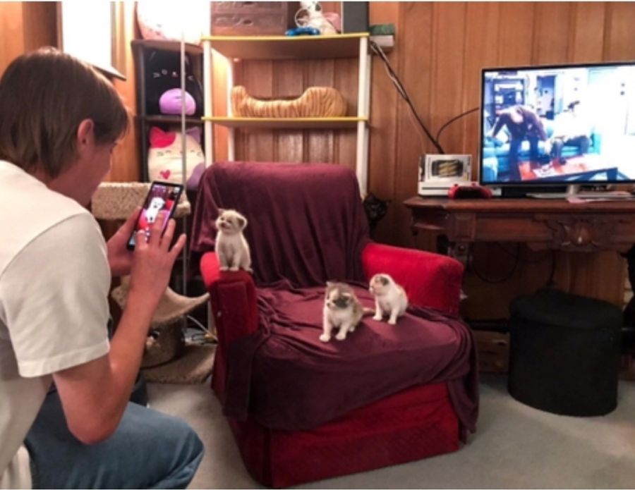 아기 고양이의 포효_1.jpg