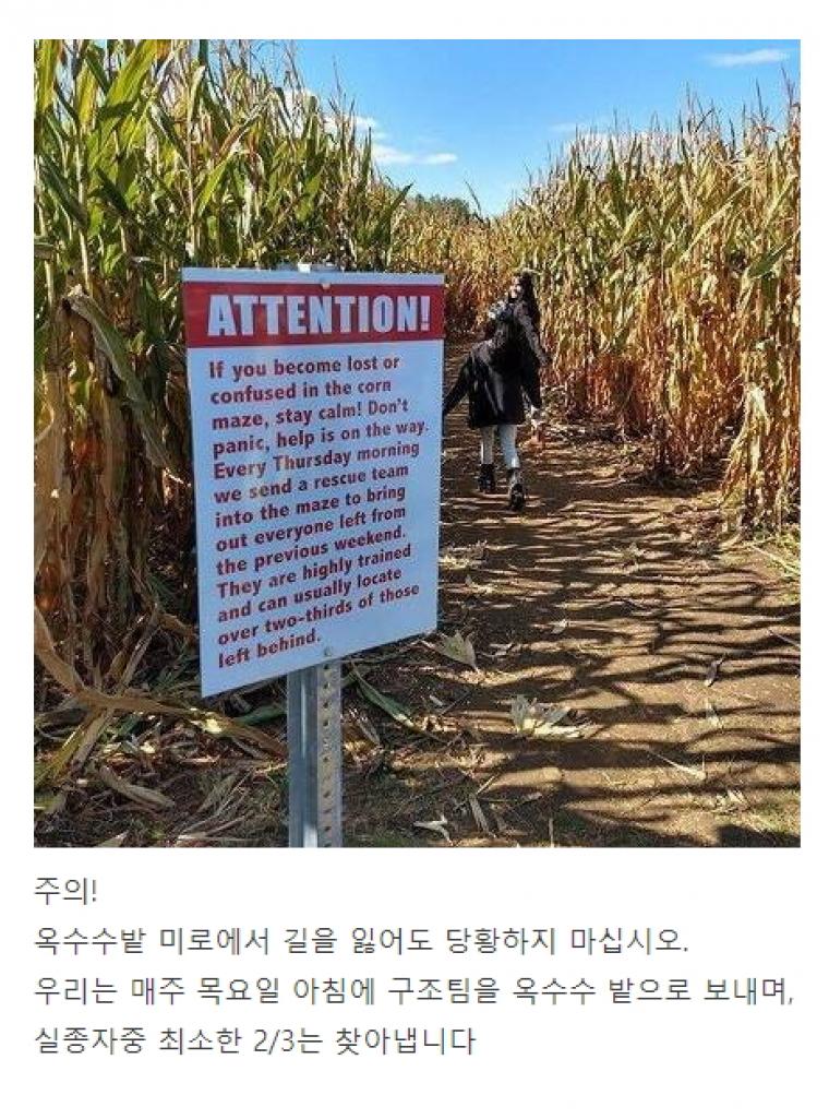 미국 옥수수밭 크기.jpg_2.jpg